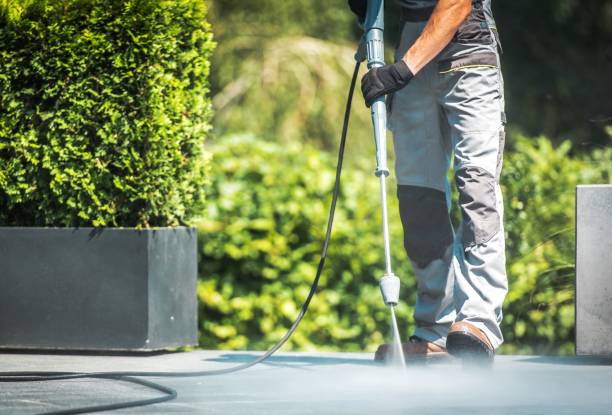 Trusted Laurel, DE Pressure Washing Services Experts